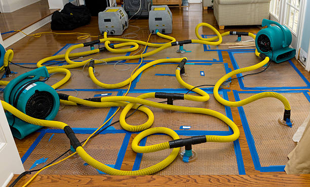 Professional Burst Pipe Water Damage technician working in Claymont, DE